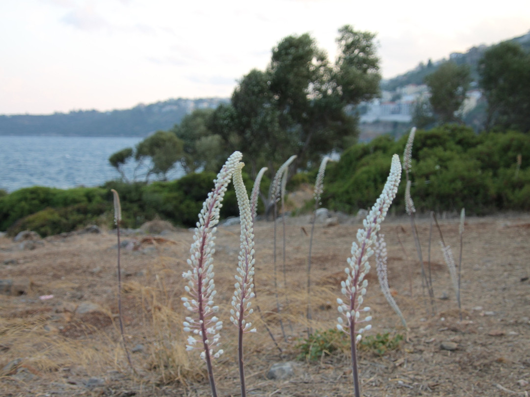 Tower of Tzanetakis-Gytheio必去景点