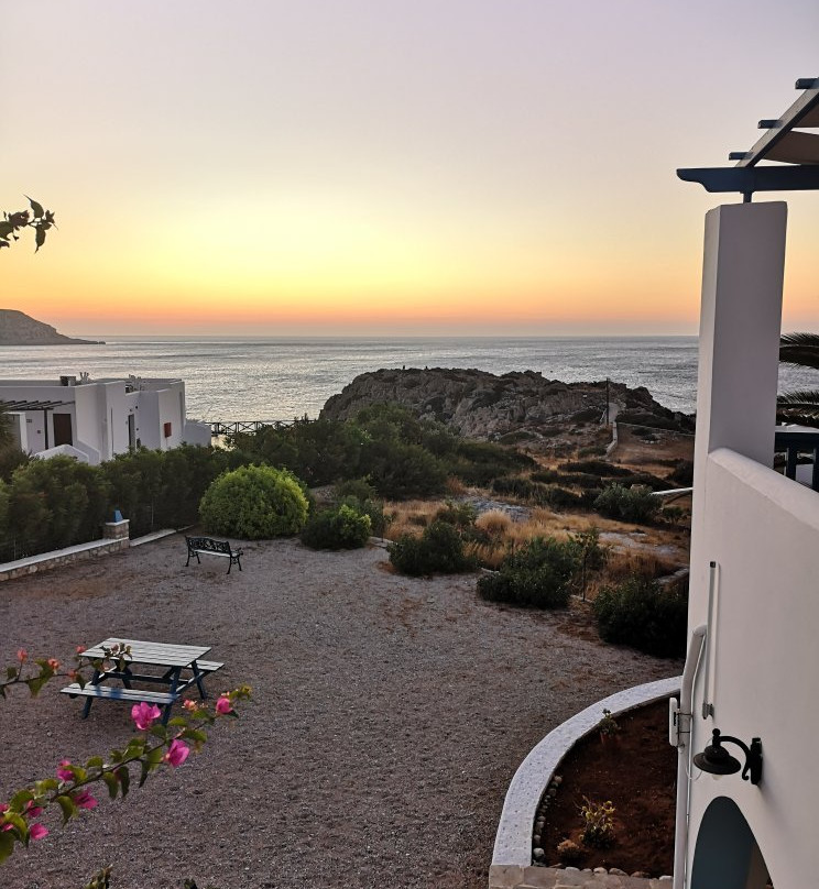 Sunflower Studios主图