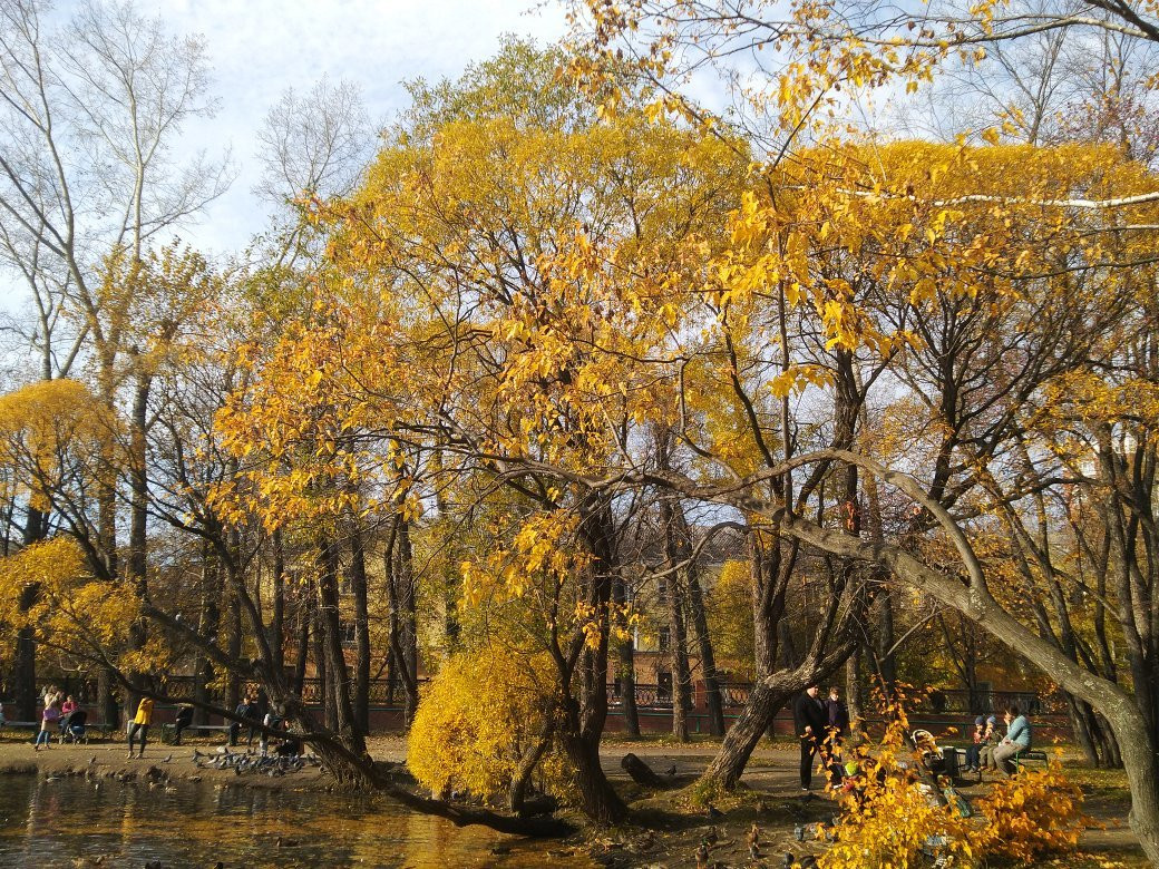 Arboretum Park Exhibition景点图片