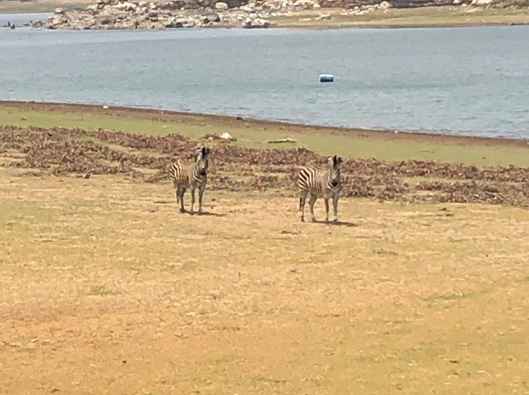 Kuimba Shiri Bird Sanctuary景点图片