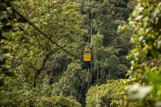 Mindo things to do-明多必去景点