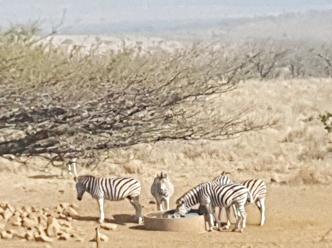 Buffalo Hills Safari Lodge主图