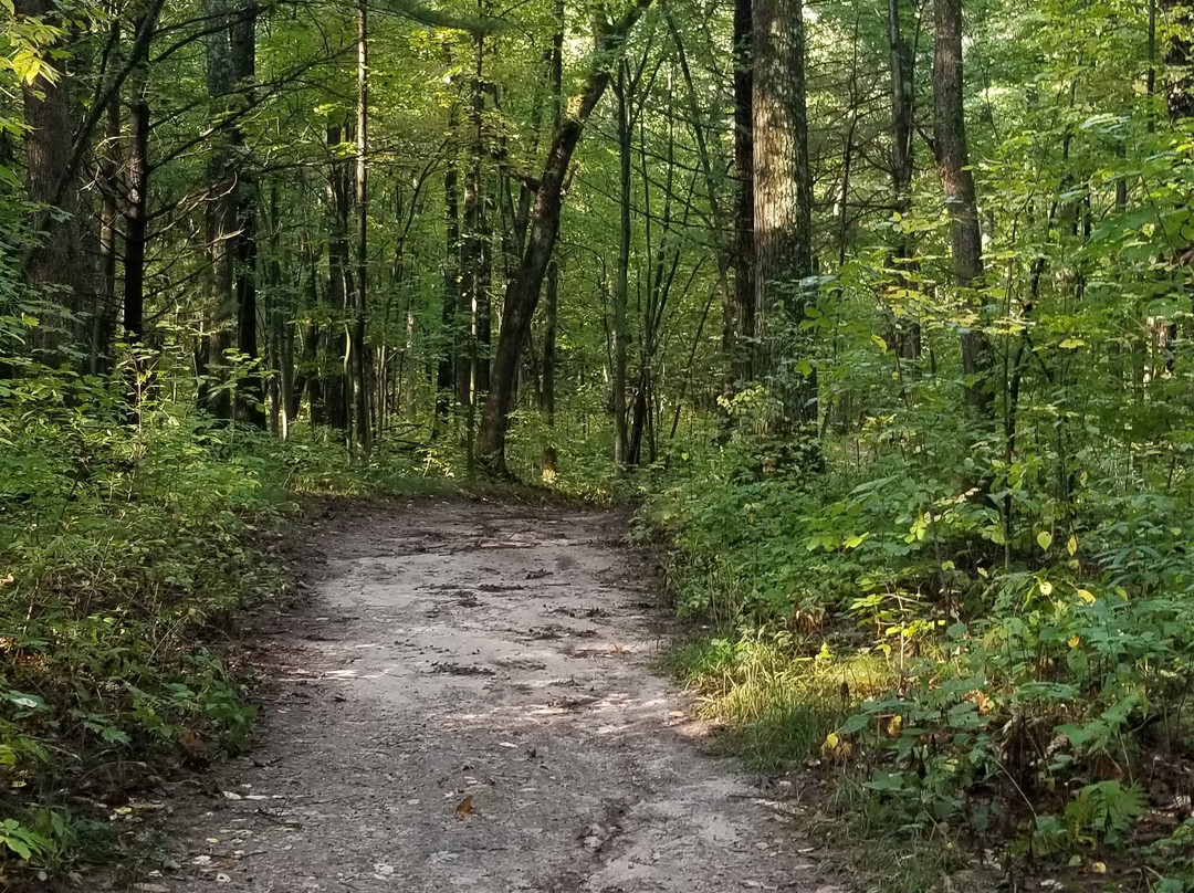 Birchcliff Resort主图