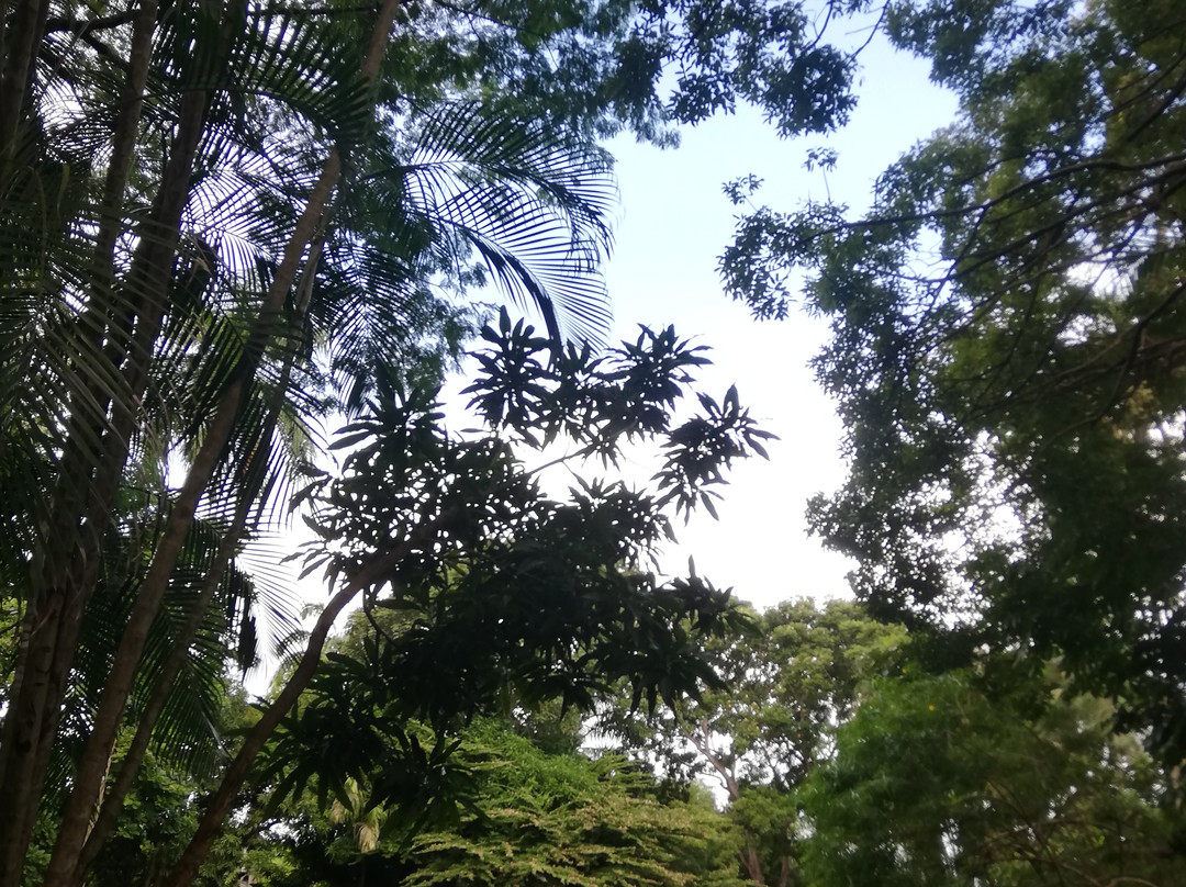 Ancon Hill-巴拿马城必去景点