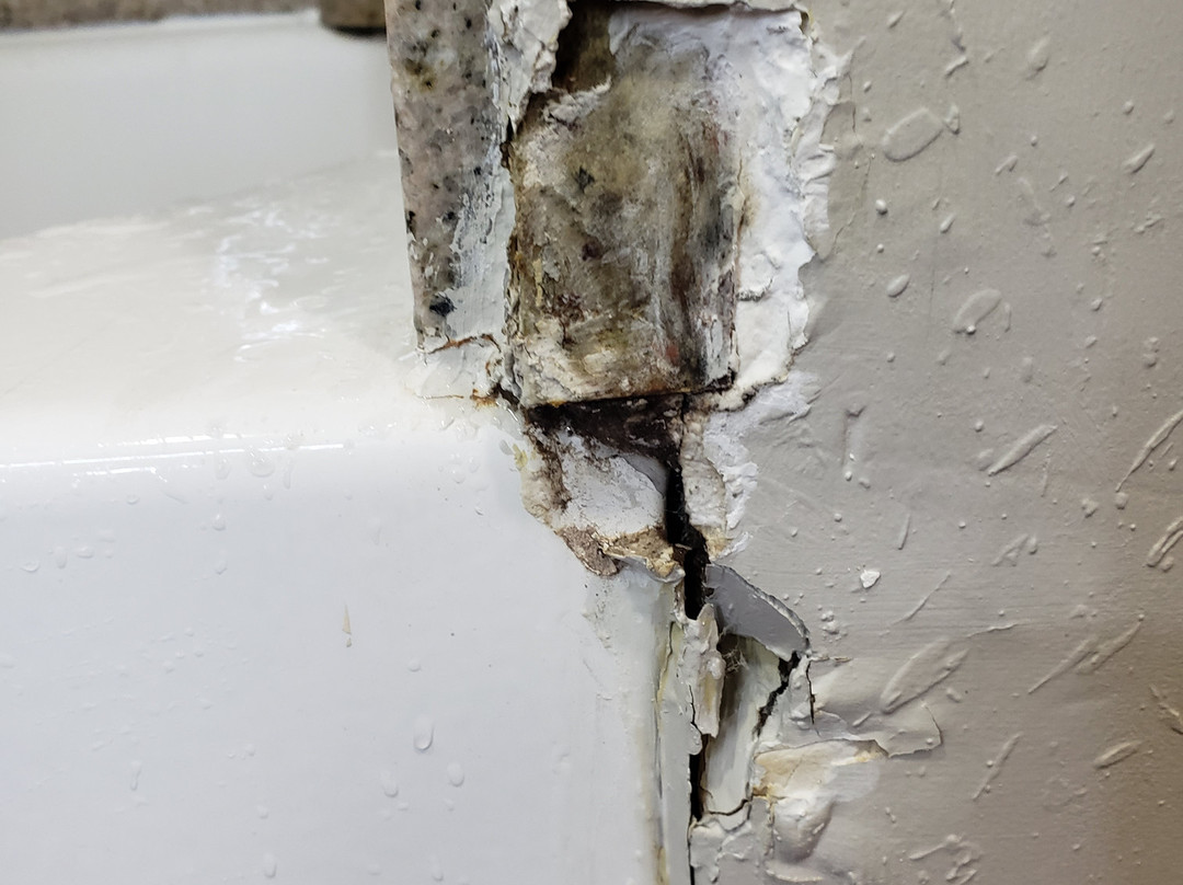 La Quinta Inn & Suites by Wyndham Bowling Green主图