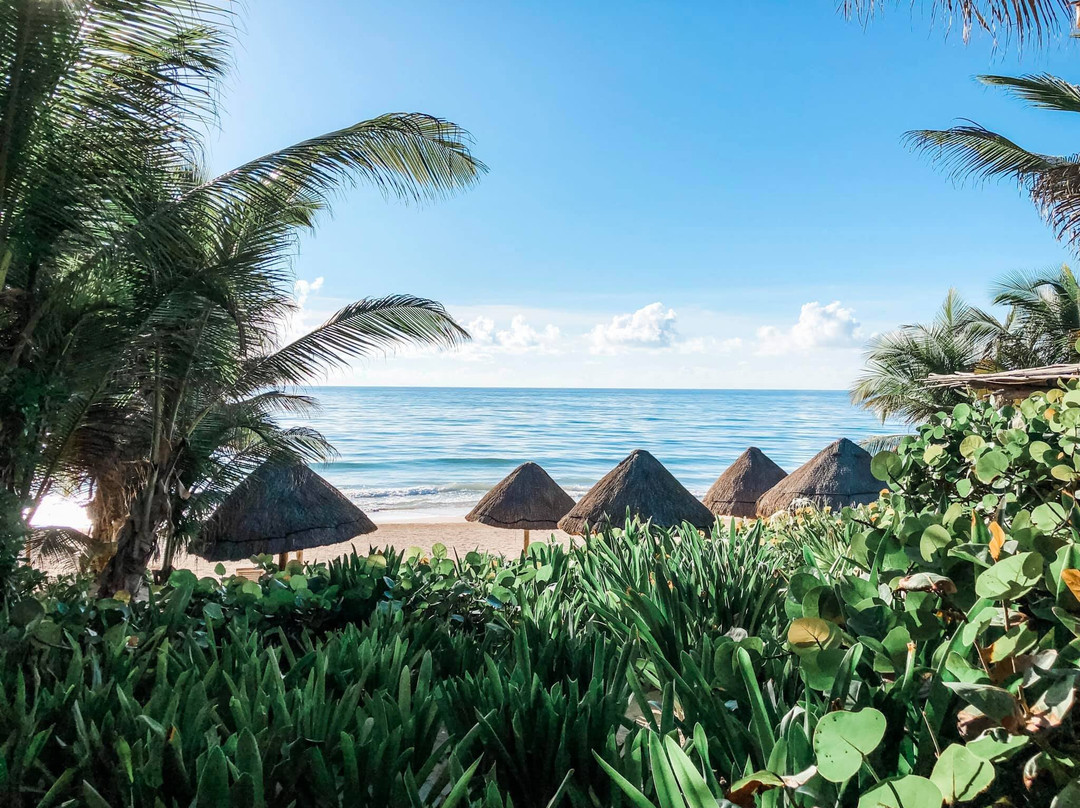 迷人图鲁姆酒店主图