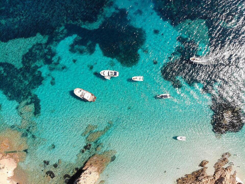 Shark Escursioni-帕劳必去景点