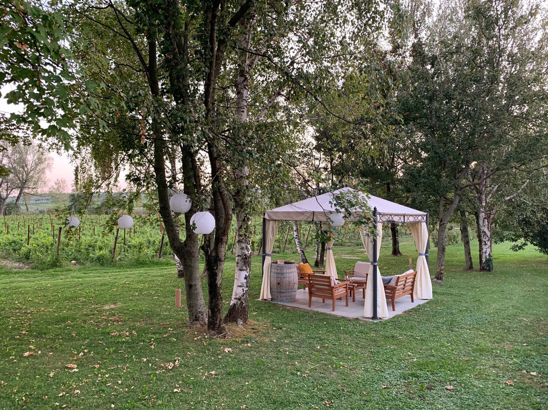 Azienda Agricola Masserino景点图片