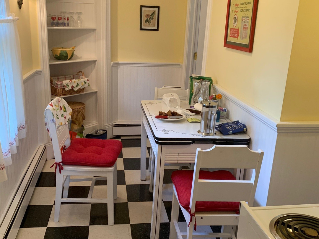 Phoenicia Belle主图