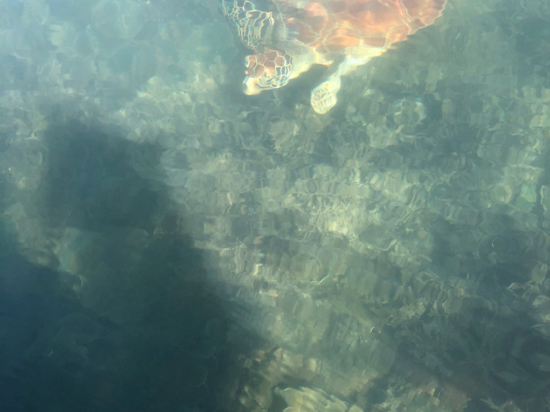 Pacific Watersports-棕榈湾必去景点