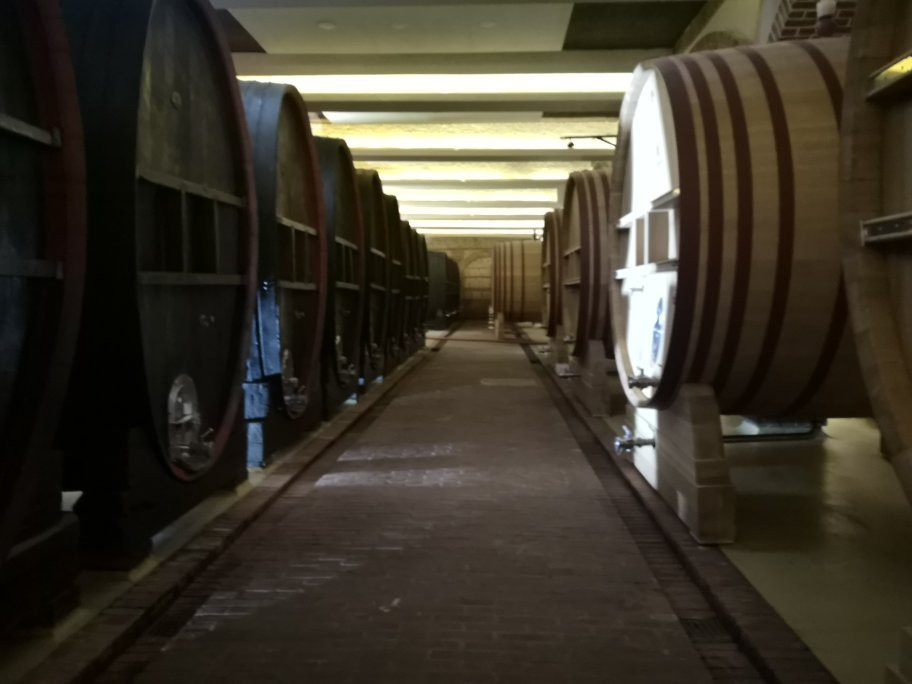Tikves Winery-Kavadarci必去景点