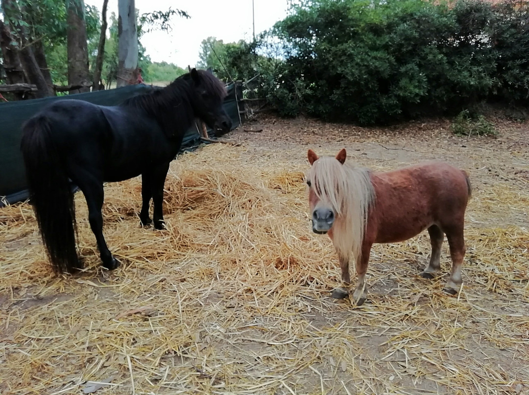 L'Oasi del Relax主图