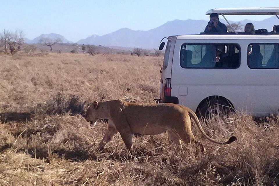 Kenyaodssey Tours and Safaris景点图片