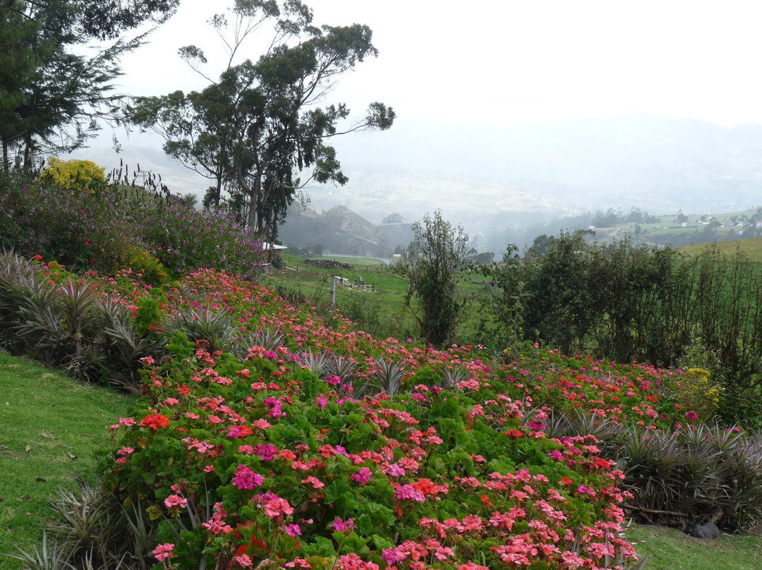 Posada Ingapirca主图