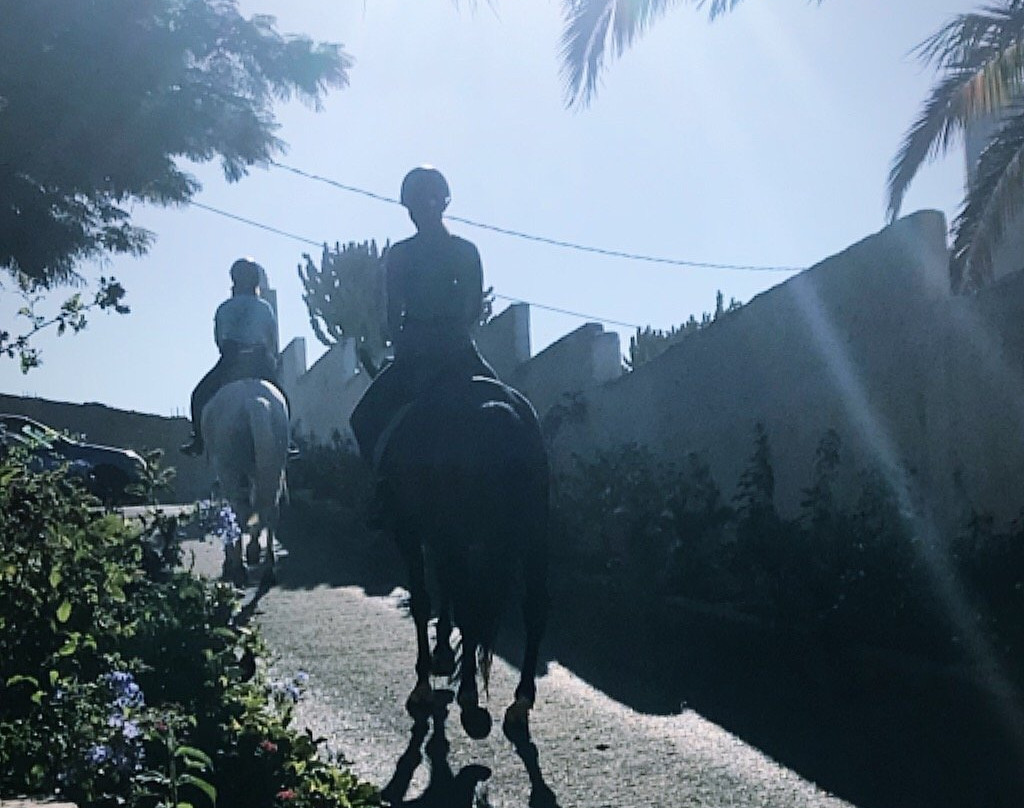 El Salobre Horse Riding景点图片