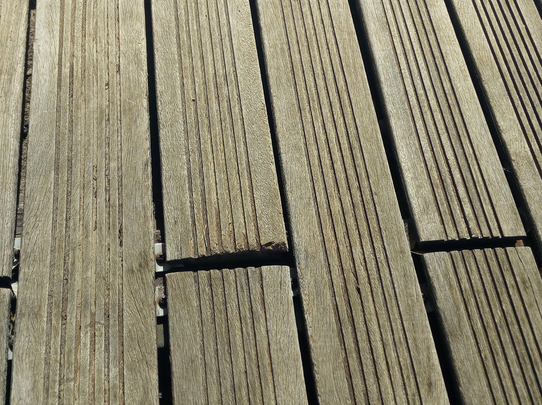 Alentejo Star Hotel主图