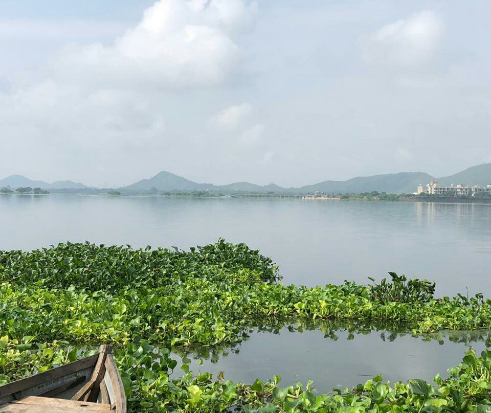 Saorsa Homestay主图