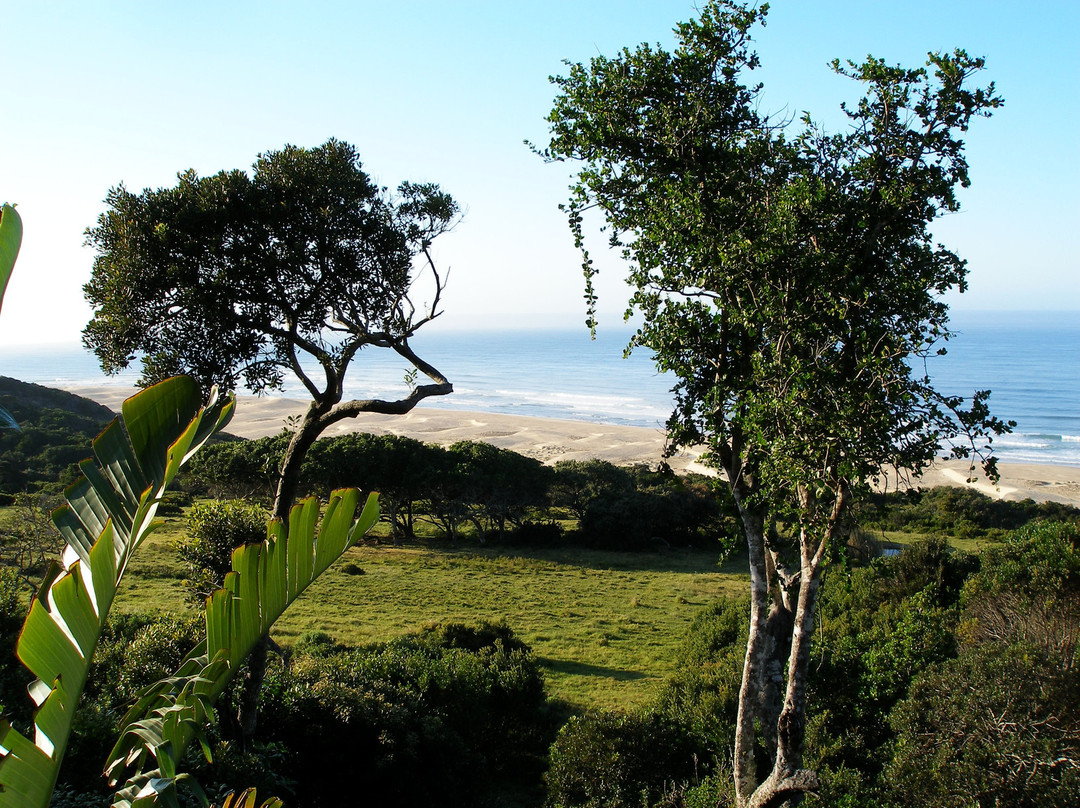 Oceana Beach and Wildlife Reserve主图