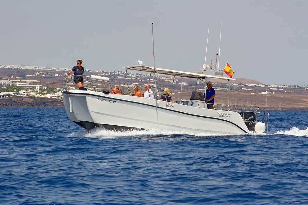 Sea Safaris Lanzarote-卡拉罗港口必去景点