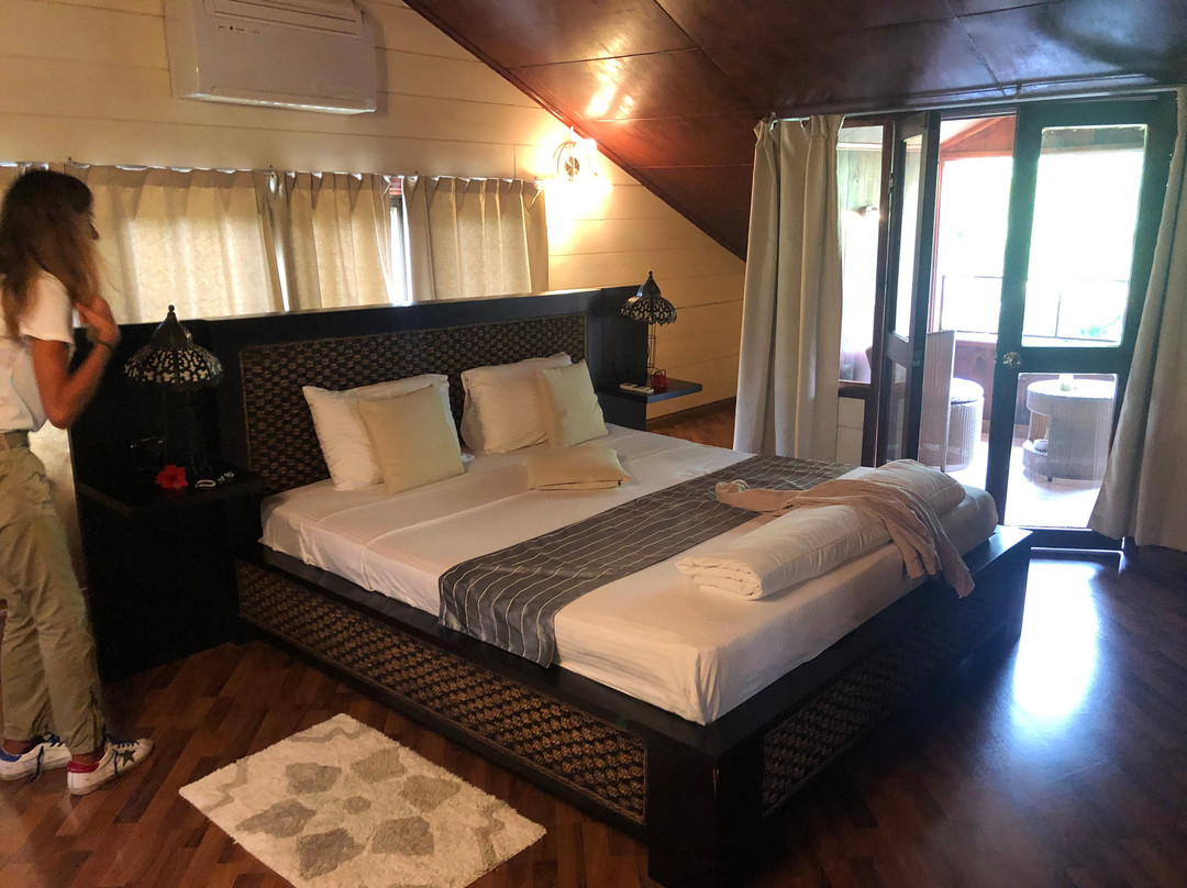 L'oasi Guest House主图