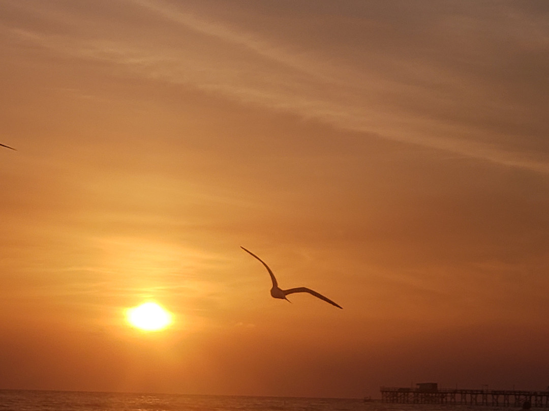 Sails Resort Motel主图