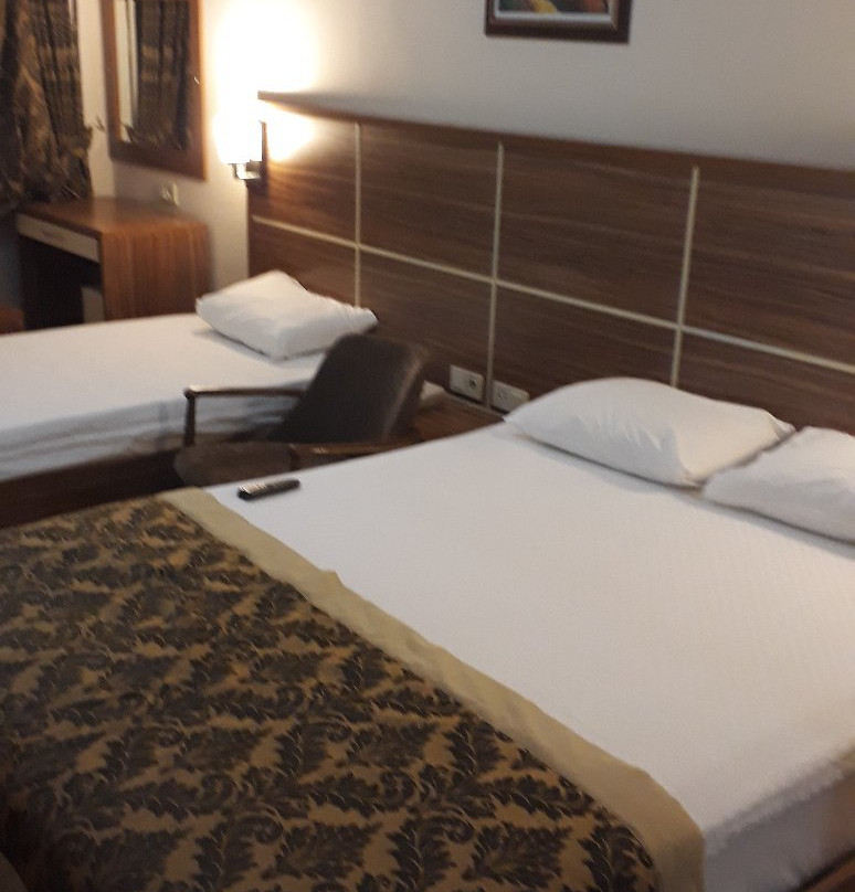 Petek Hotel主图