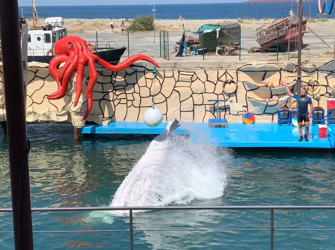 Anapa Dolphinarium in Bolshoye Utrishe-Sukko必去景点