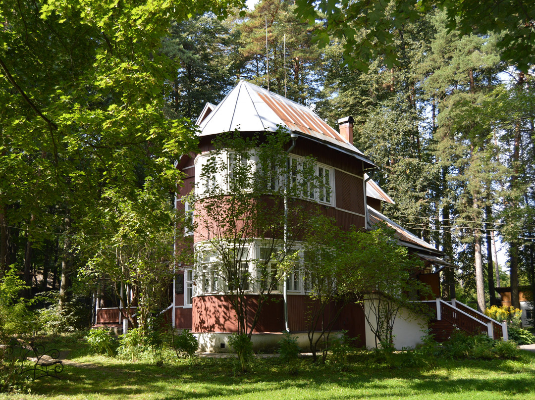 Pasternak House Museum景点图片