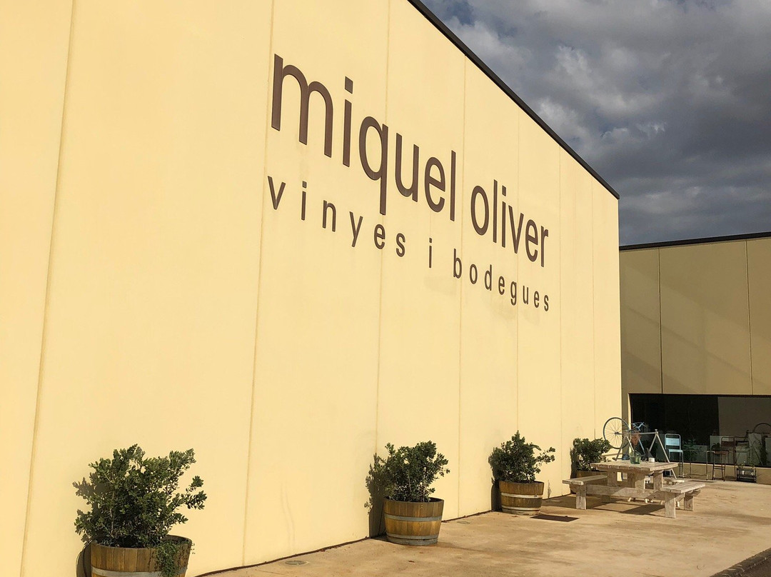 Bodegas Miquel Oliver景点图片