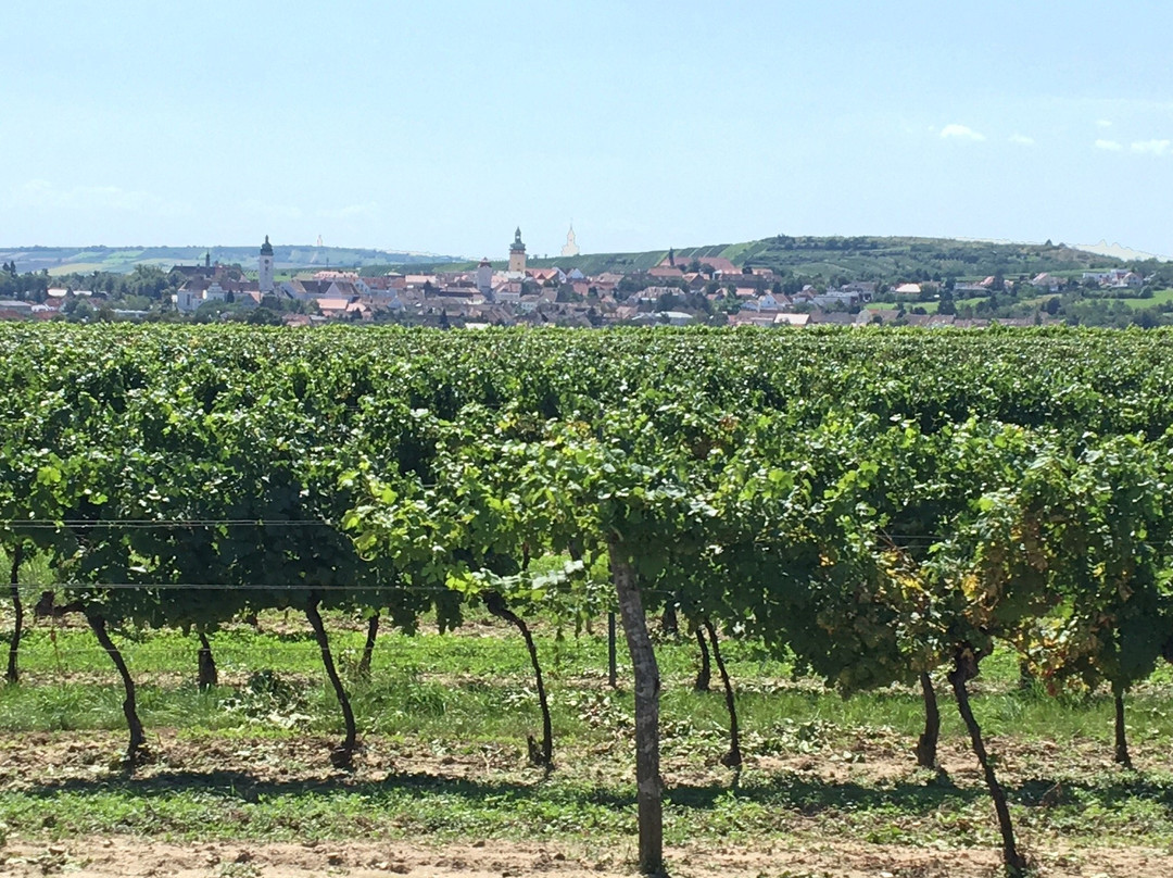 Weingut Kellner景点图片