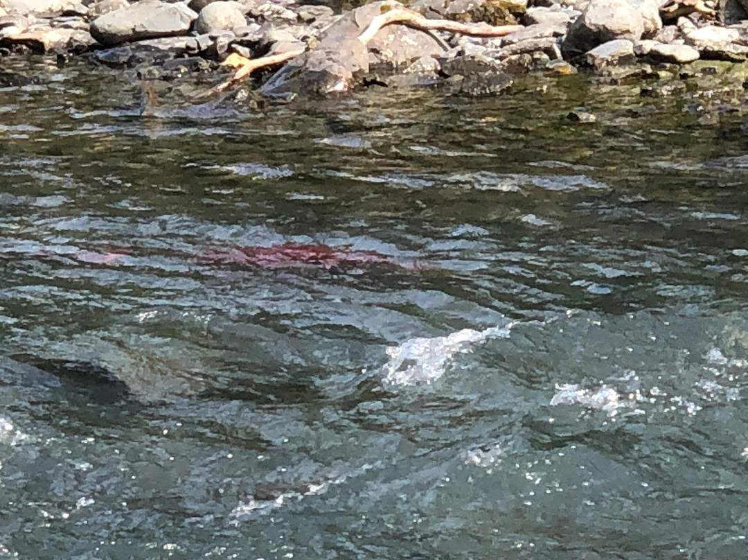 Bear Creek Weir-苏厄德必去景点