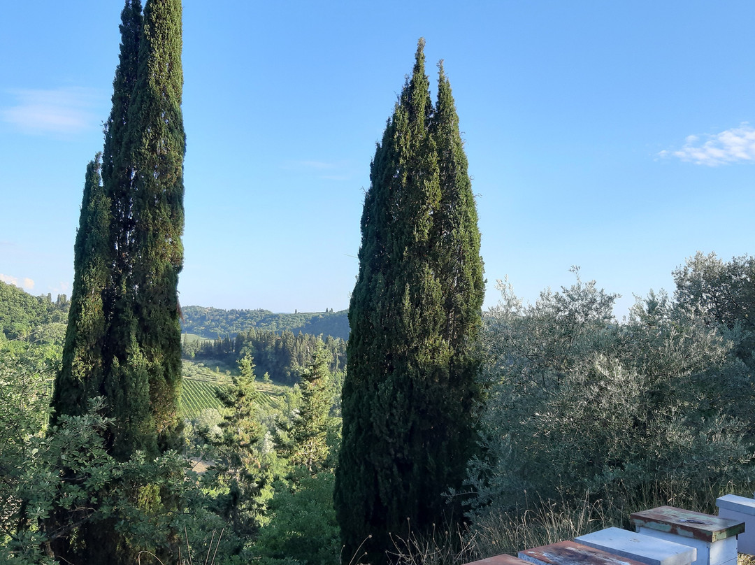 Fattoria Pogni主图