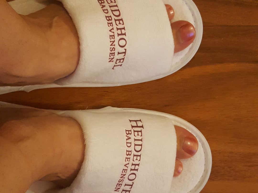 Heide Hotel Bad Bevensen主图