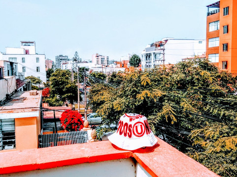 Lince-利马必去景点