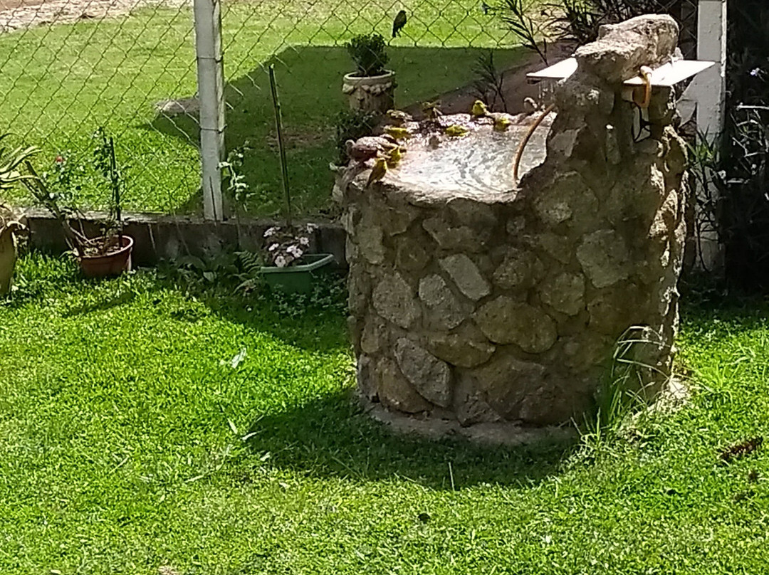 Artesanato Estancia Nosso Mundo-Camanducaia必去景点