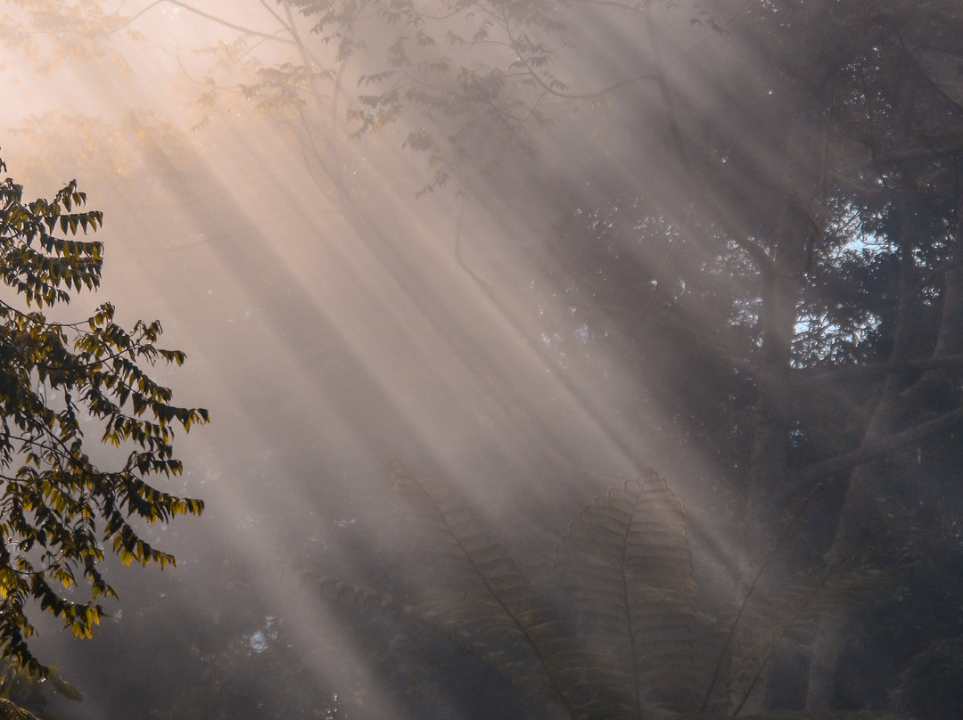 Ijen Expedition Tour-巴纽旺宣必去景点