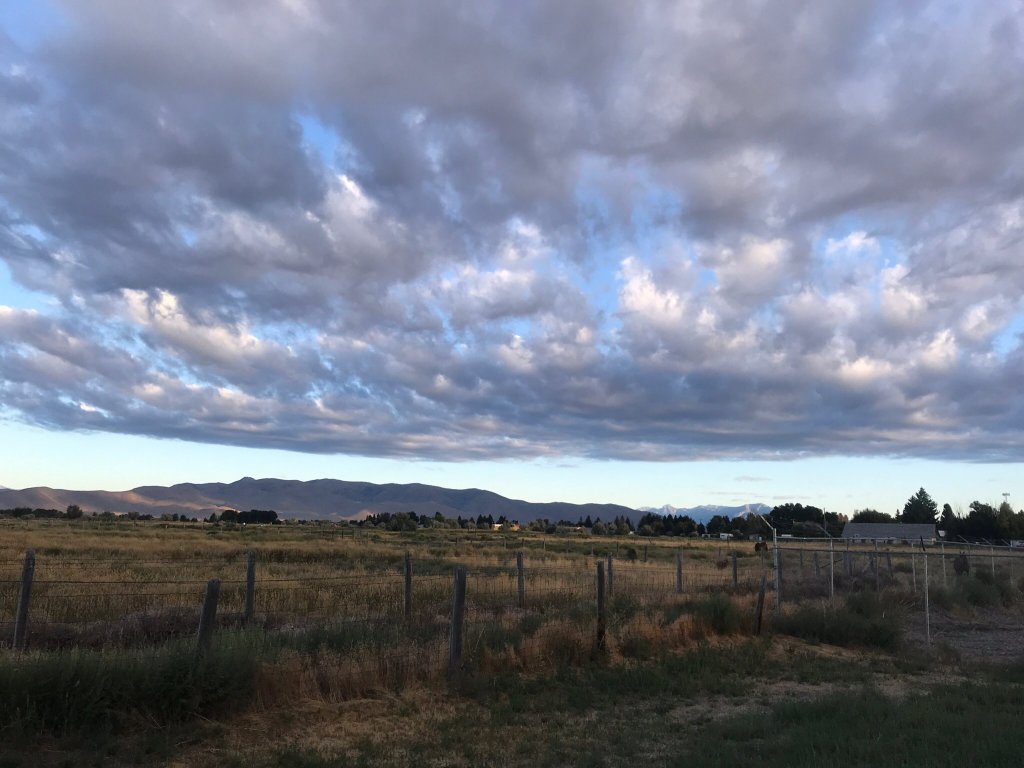 Arco Inn Motel-官方