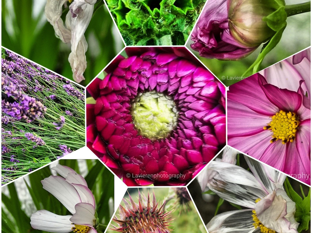 Ty Newydd-Y-Llwyn主图