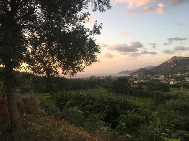 Poggio del Cenito-官方