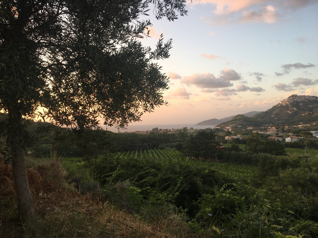 Salvatore酒店住宿-Poggio del Cenito