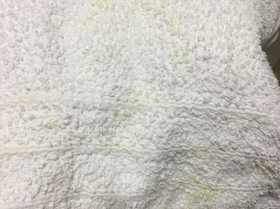 Hotel El Puente主图