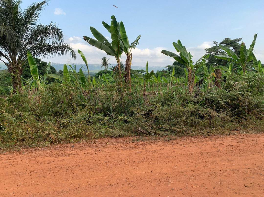 ATV Aburi-Aburi必去景点