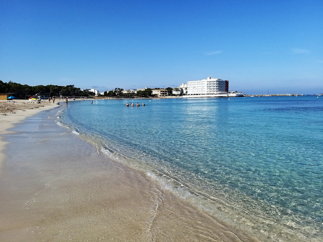 Universal Hotel Marqués主图