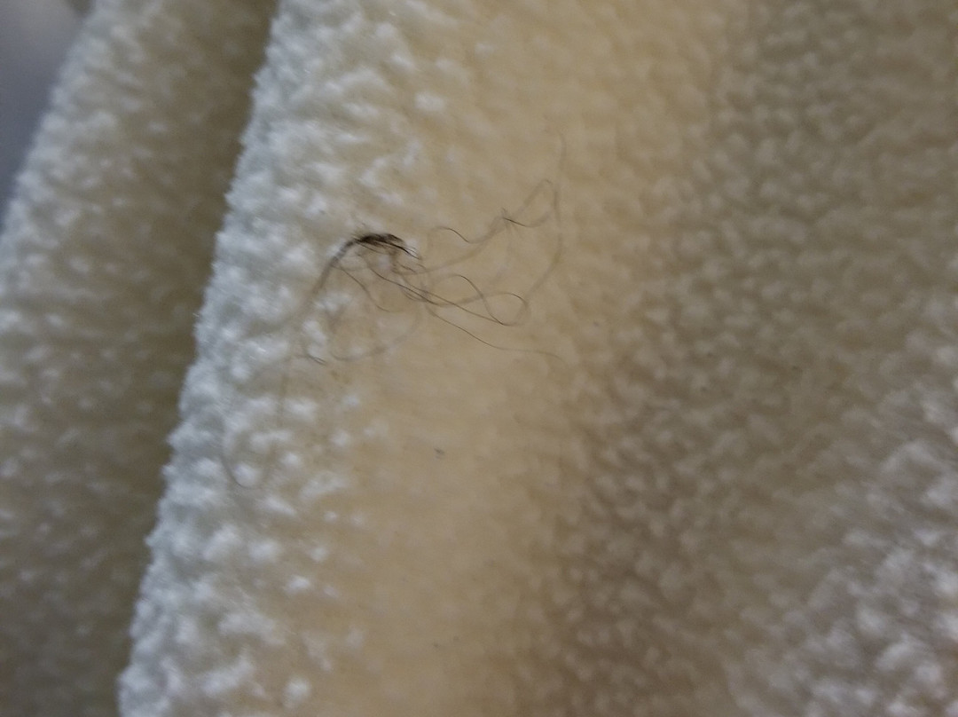 Days Inn by Wyndham Paris主图