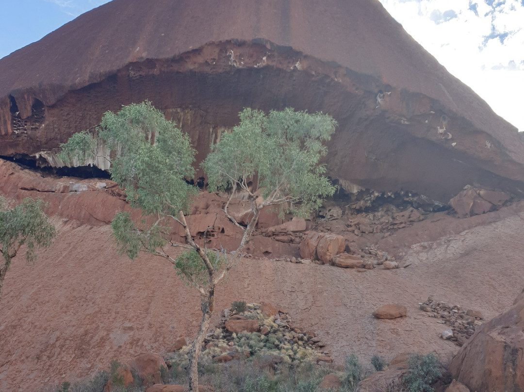 Uluru Segway Tours-乌鲁鲁-卡塔丘塔国家公园必去景点