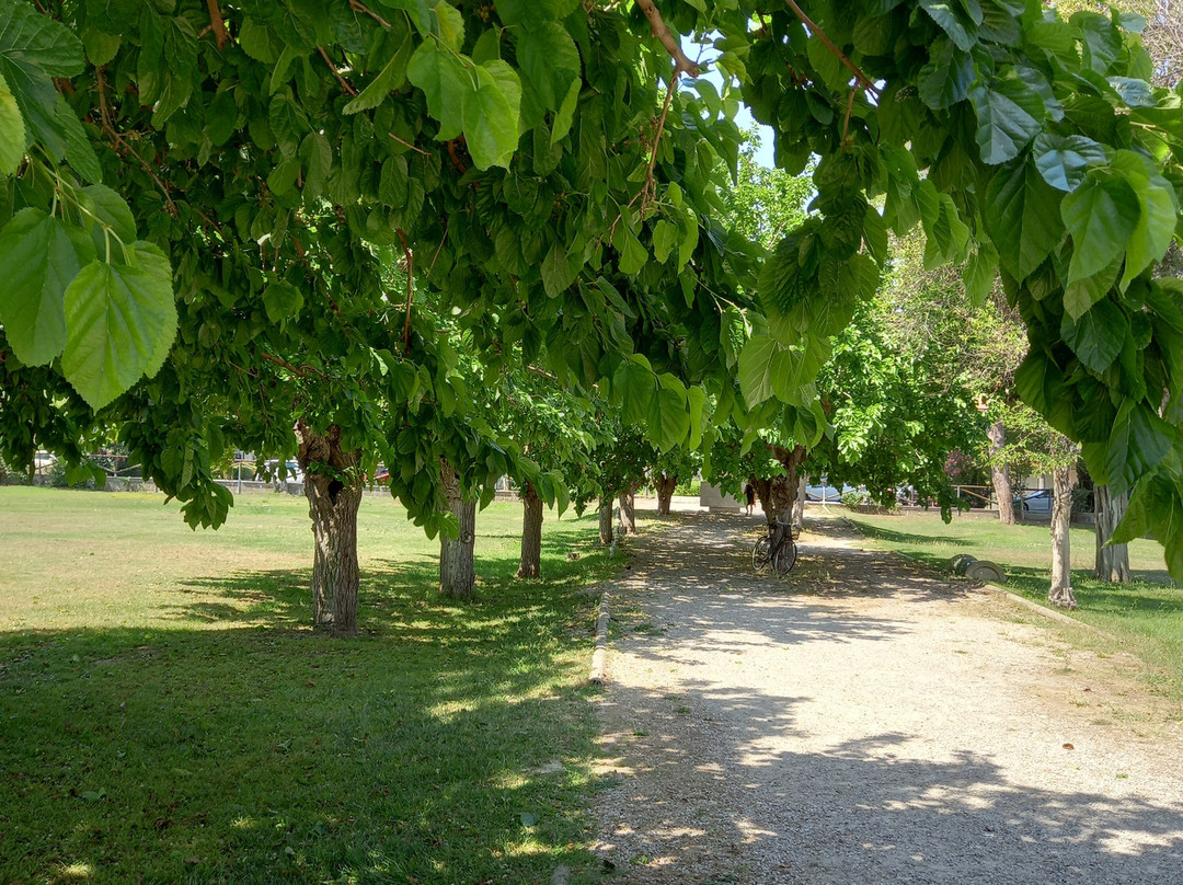 Parco Della Pace