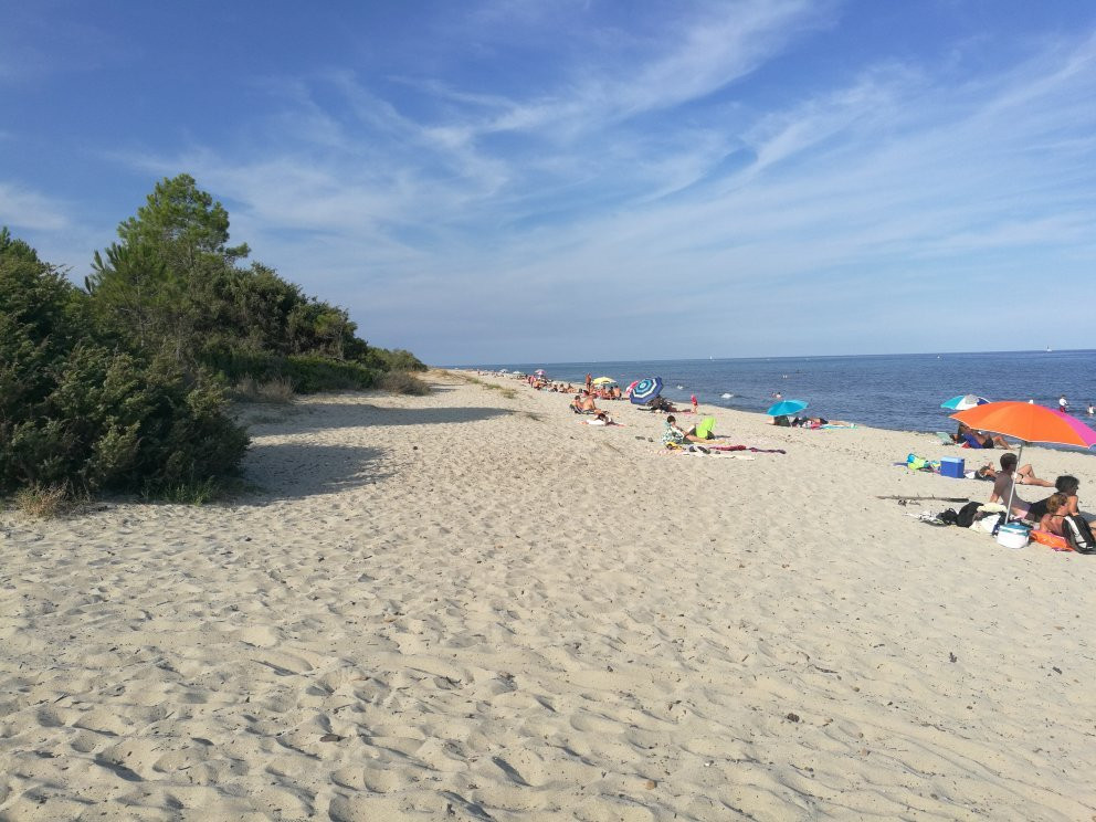 Plage de Pinia景点图片