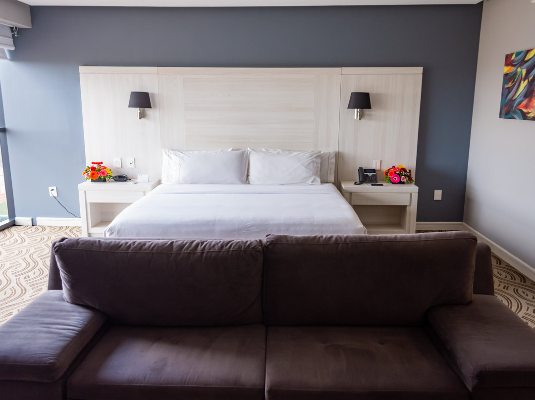 Holiday Inn Express Pachuca by IHG主图