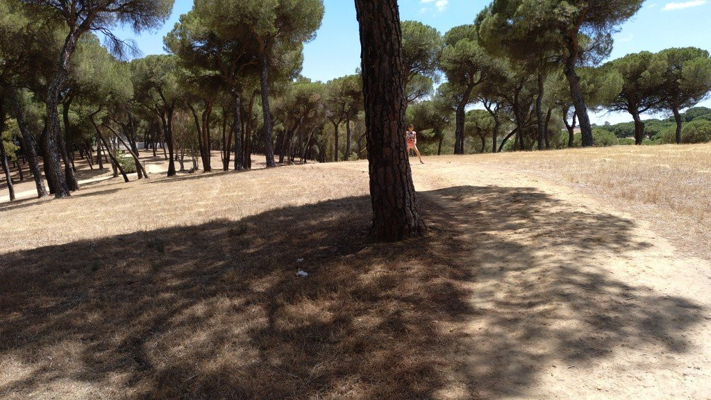 Parque Oromana-Alcala de Guadaira必去景点