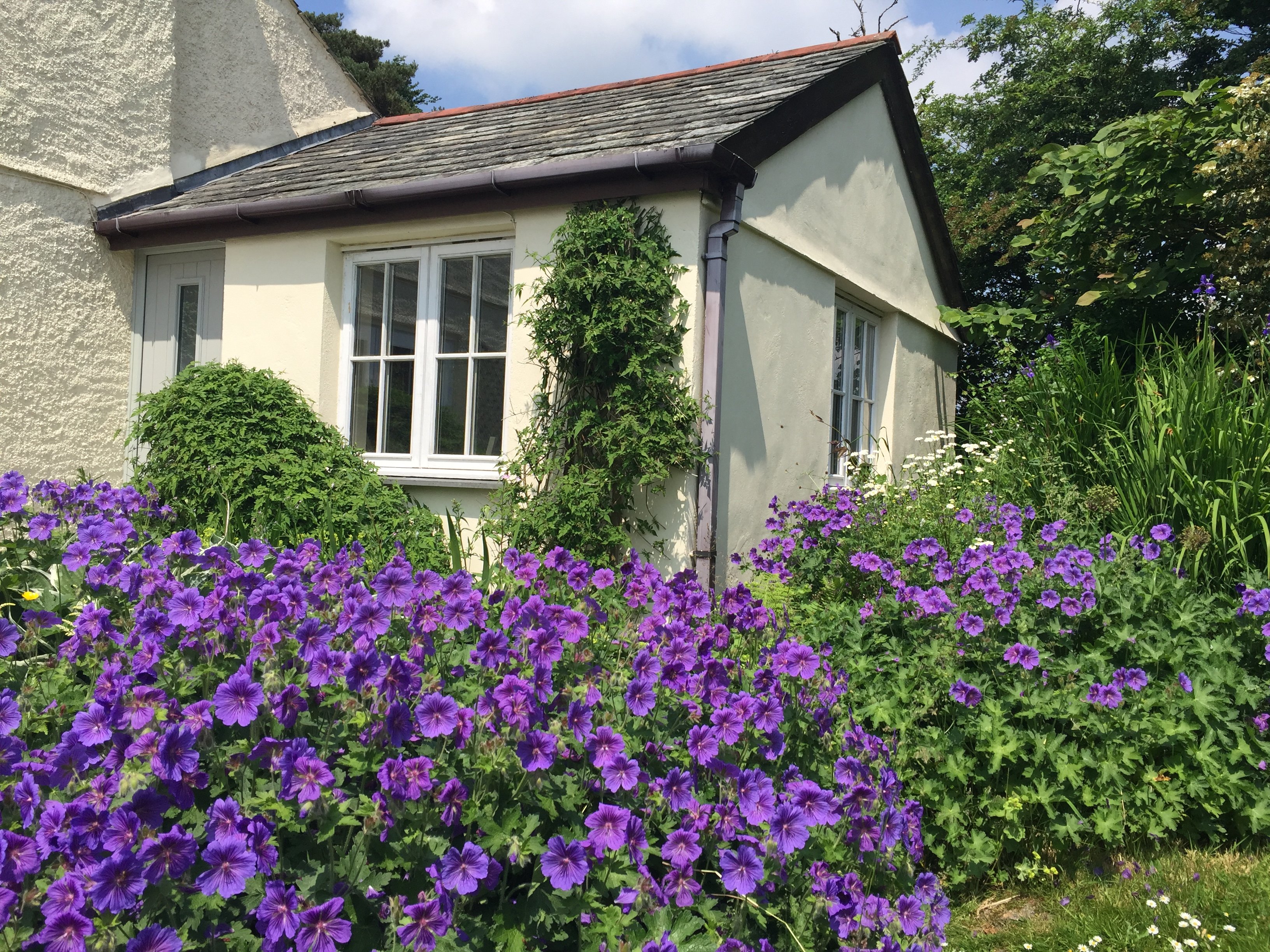 Higher Searles Down-官方